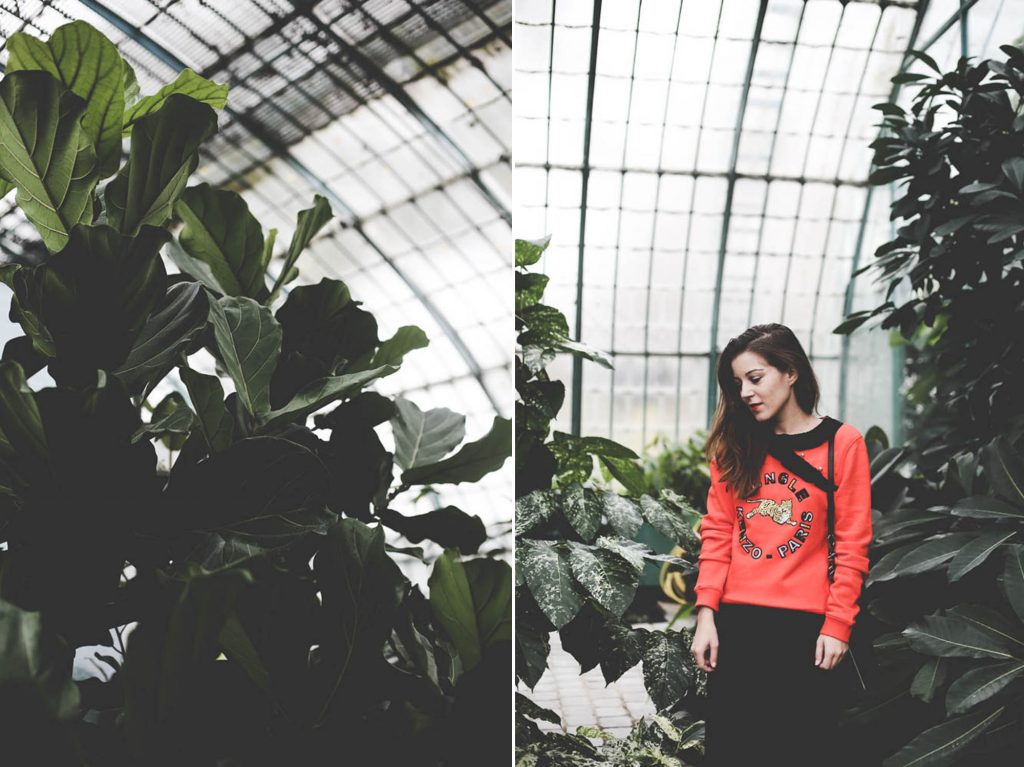 green-tropical green-tropical